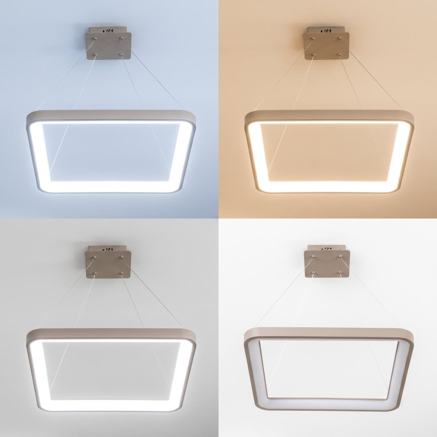 BRILAGI - LED dæmpbar pendel på wire FALCON SLIM LED/50W/230V 3000-6500K 50x50 cm beige + fjernbetjening