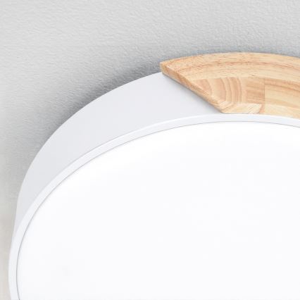 Brilagi - Dæmpbar LED-loftlampe PILANA LED/60W/230V 3000-6500K eg/hvid Ø 60 cm + fjernbetjening