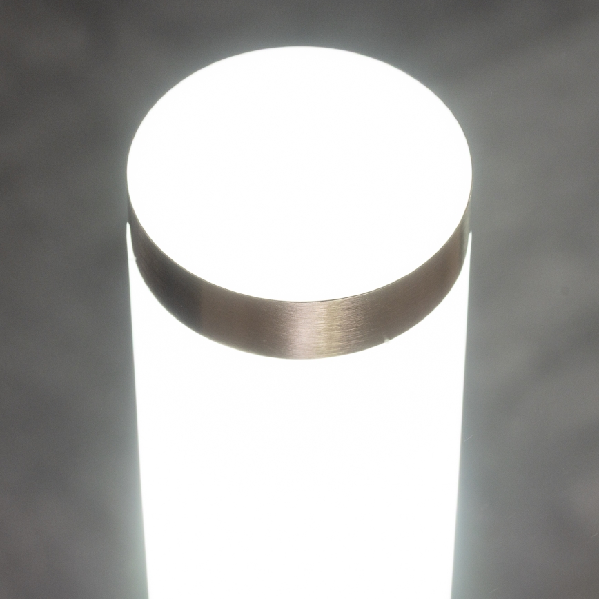BRILAGI - LED-udendørslampe ELIA 1xE27/7W/230V 4000K IP44 100 cm mat krom