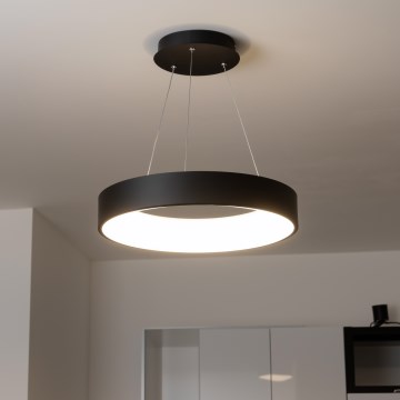 Brilagi - FALCON LED-dæmpbar pendel med wire LED/40W/230V 3000-6500K Ø 45 cm sort + fjernbetjening