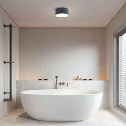 Brilagi - LED loftlampe til badeværelset FORIS LED/14W/230V Ø 12 cm antracit IP44