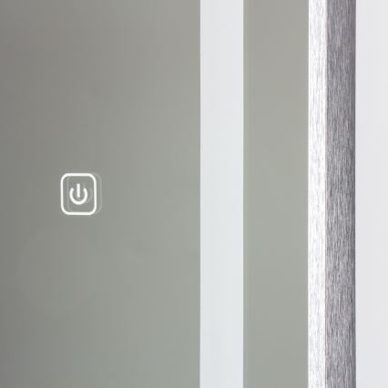 Brilagi - Gulvspejl BELLEZA LED/42W/230V 160x50 cm IP44 CRI 90 dæmpbar + CCT