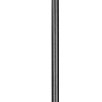 Brilagi - Gulvlampe SELE 3xGU10/30W/230V sort