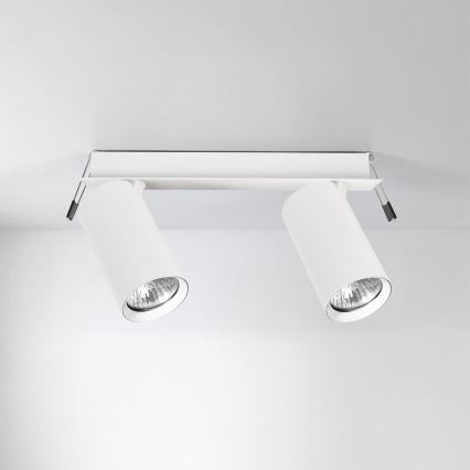 Brilagi - Indbygningsspot SELE 2xGU10/30W/230V hvid