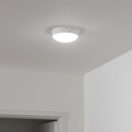 Brilagi - Industriel LED loftlampe SIMA LED/12W/230V IP65 hvid