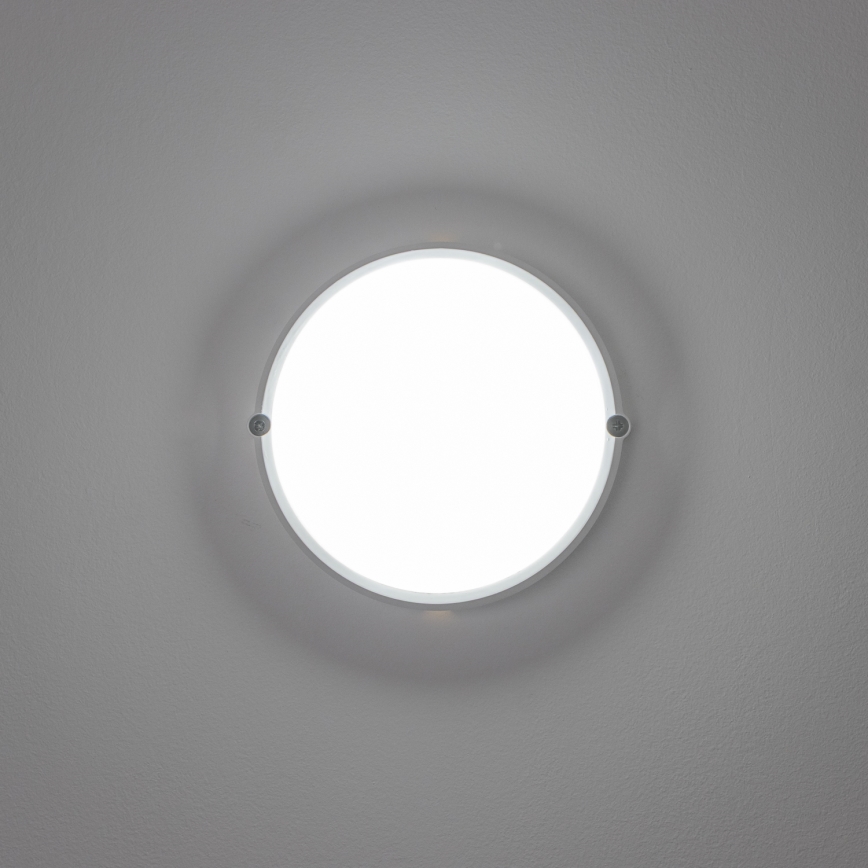 Brilagi - Industriel LED loftlampe SIMA LED/12W/230V IP65 hvid
