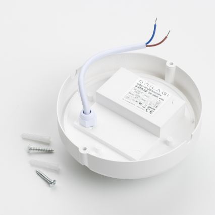 Brilagi - Industriel LED loftlampe SIMA LED/12W/230V IP65 hvid