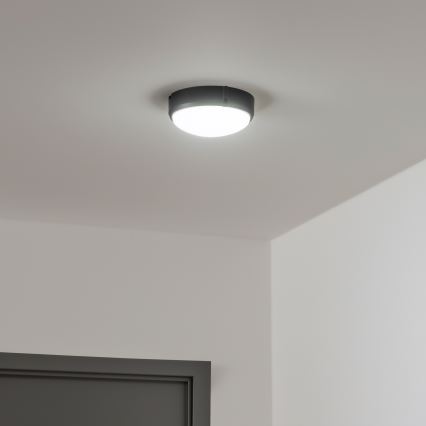 Brilagi - Industriel LED loftlampe SIMA LED/12W/230V IP65 sort