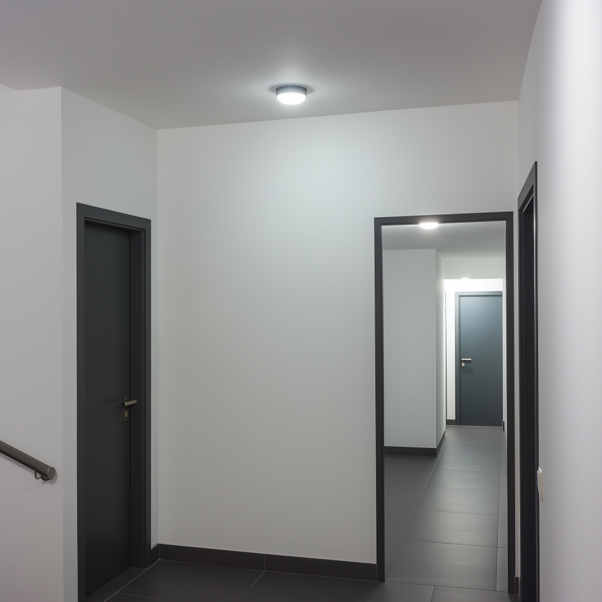 Brilagi - Industriel LED loftlampe SIMA LED/12W/230V IP65 sort