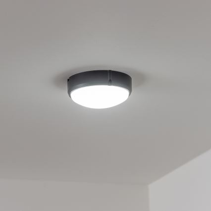 Brilagi - Industriel LED loftlampe SIMA LED/12W/230V IP65 sort