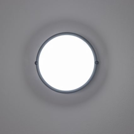 Brilagi - Industriel LED loftlampe SIMA LED/12W/230V IP65 sort