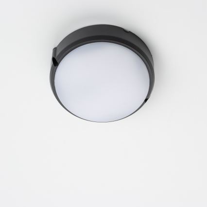 Brilagi - Industriel LED loftlampe SIMA LED/12W/230V IP65 sort