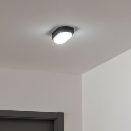 Brilagi - Industriel LED loftlampe SIMA LED/12W/230V IP65 sort