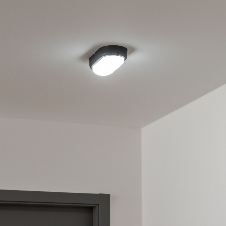 Brilagi - Industriel LED loftlampe SIMA LED/12W/230V IP65 sort