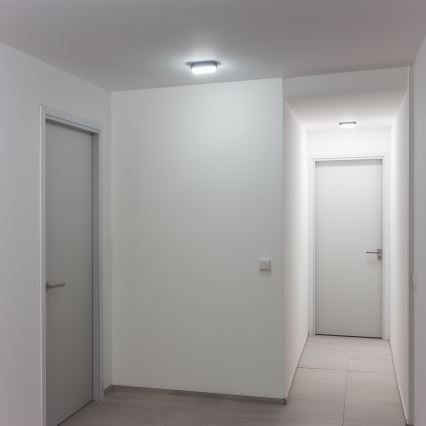 Brilagi - Industriel LED loftlampe SIMA LED/12W/230V IP65 sort