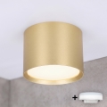BRILAGI - LED badeværelses-spot SMOOTH 1xGX53/15W/230V 60x82 mm guld IP54