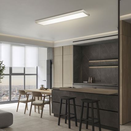Brilagi - LED loftlampe til badeværelse FRAME LED/50W/230V 3000/4000/6000K 120x30 cm IP44 sølv