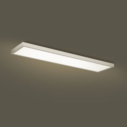 Brilagi - LED loftlampe til badeværelse dæmpbar FRAME SMART LED/50W/230V 120x30 cm 3000-6000K IP44 sølvfarvet + fjernbetjening