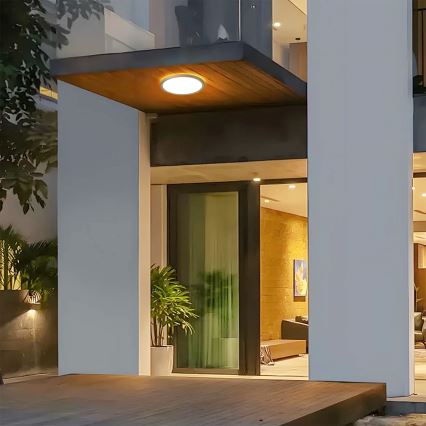 Brilagi - LED badeværelsesloftlampe ULTRA SLIM LED/12W/230V Ø 22,5 cm guld IP54