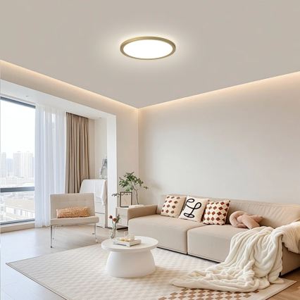 Brilagi - LED badeværelsesloftlampe ULTRA SLIM LED/12W/230V Ø 22,5 cm guld IP54