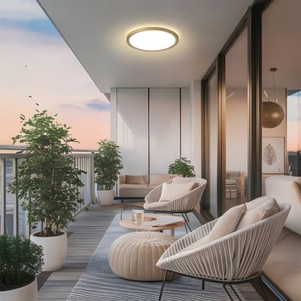 Brilagi - LED badeværelsesloftlampe ULTRA SLIM LED/18W/230V Ø 30 cm guld IP54