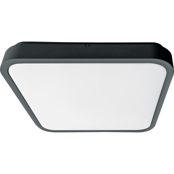 Brilagi - LED badeværelsesloftarmatur ZENNA LED/18W/230V 28,5x28,5 cm IP44 antracit