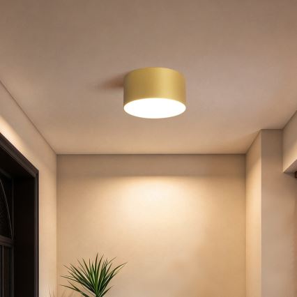 BRILAGI - LED badeværelsesloftlampe FORIS LED/14W/230V Ø 12 cm guldfarvet IP44