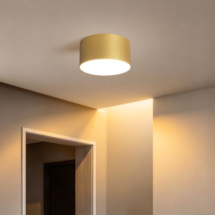 BRILAGI - LED badeværelsesloftlampe FORIS LED/14W/230V Ø 12 cm guldfarvet IP44