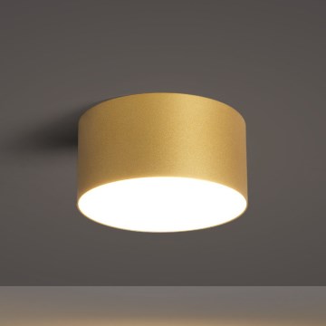 BRILAGI - LED badeværelsesloftlampe FORIS LED/14W/230V Ø 12 cm guldfarvet IP44