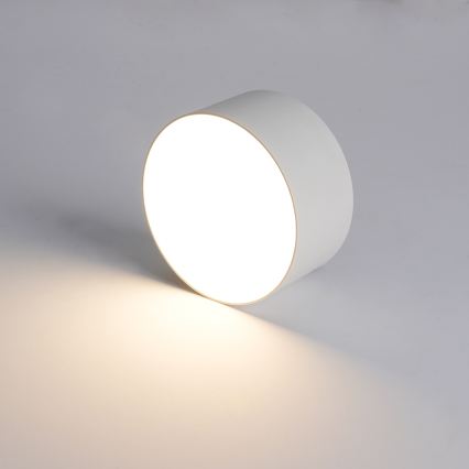 Brilagi - LED badeværelsesloftlampe FORIS LED/14W/230V Ø 12 cm hvid IP44