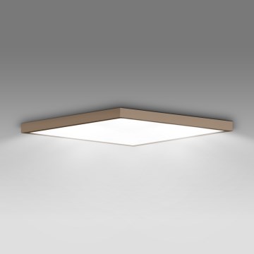 Brilagi - LED badeværelsesloftlampe FRAME LED/50W/230V 60x60 cm IP44 beige