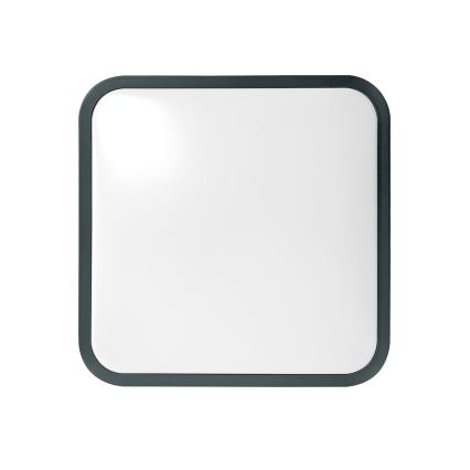 Brilagi - ZENNA LED loftlampe til badeværelse med sensor, 24 W/230 V, 34,5 x 34,5 cm, IP44, antracit + fjernbetjening