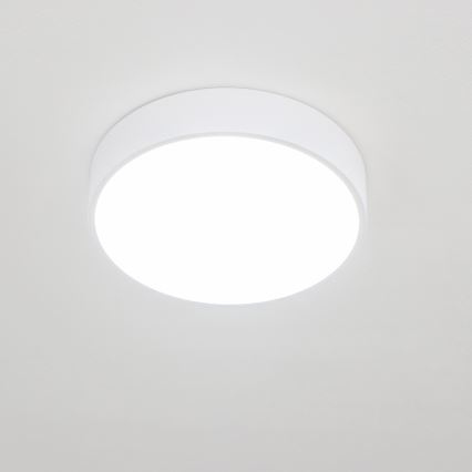 Brilagi - LED badeværelsesloftlampe POOL LED/24W/230V 3000/4000/5500K Ø 30 cm IP54 hvid