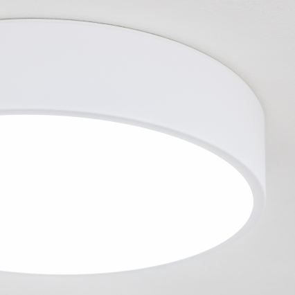 Brilagi - LED badeværelsesloftlampe POOL LED/24W/230V 3000/4000/5500K Ø 30 cm IP54 hvid