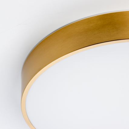 Brilagi - LED badeværelsesloftlampe POOL LED/36W/230V 3000/4000/5500K Ø 40 cm IP54 bronze