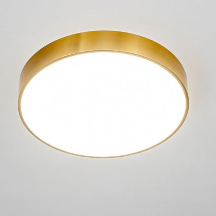 Brilagi - LED badeværelsesloftlampe POOL LED/36W/230V 3000/4000/5500K Ø 40 cm IP54 bronze