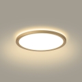 Brilagi - LED badeværelsesloftlampe ULTRA SLIM LED/12W/230V Ø 22,5 cm guld IP54