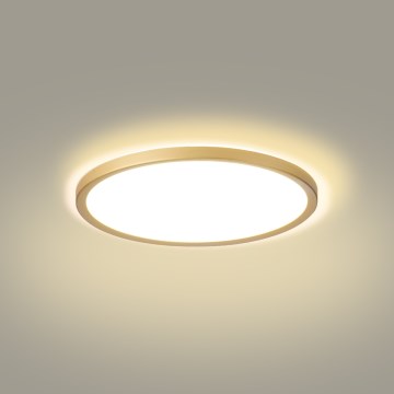 Brilagi - LED badeværelsesloftlampe ULTRA SLIM LED/18W/230V Ø 30 cm guld IP54