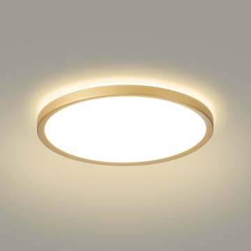 Brilagi - LED badeværelsesloftlampe ULTRA SLIM LED/24W/230V Ø 42 cm guld IP54