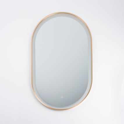 Brilagi - LED badeværelsesspejl ERBA LED/25W/230V 50x80 cm guld IP44 CRI 90 dæmpbart + CCT