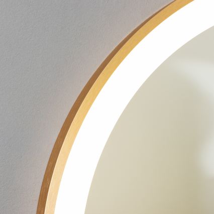 Brilagi - LED badeværelsesspejl ERBA LED/25W/230V 50x80 cm guld IP44 CRI 90 dæmpbart + CCT