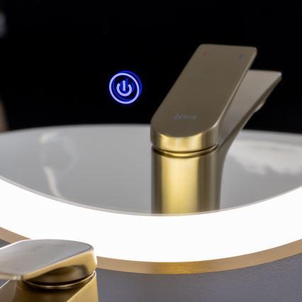 Brilagi - LED badeværelsesspejl ERBA LED/25W/230V 50x80 cm guld IP44 CRI 90 dæmpbart + CCT