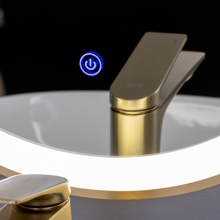 Brilagi - LED badeværelsesspejl ERBA LED/25W/230V 50x80 cm guld IP44 CRI 90 dæmpbart + CCT