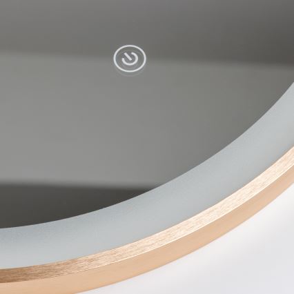 Brilagi - LED badeværelsesspejl ERBA LED/25W/230V 50x80 cm guld IP44 CRI 90 dæmpbart + CCT