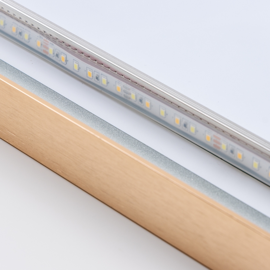 Brilagi - LED badeværelsesspejl ERBA LED/25W/230V 50x80 cm guld IP44 CRI 90 dæmpbart + CCT