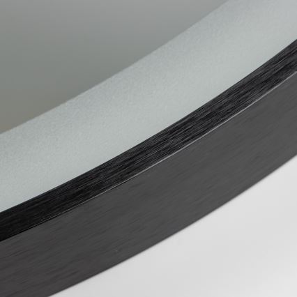 Brilagi - LED-badeværelsesspejl CANZO LED/25W/230V 50x80 cm sort IP44 Ra 90 dæmpbar + CCT