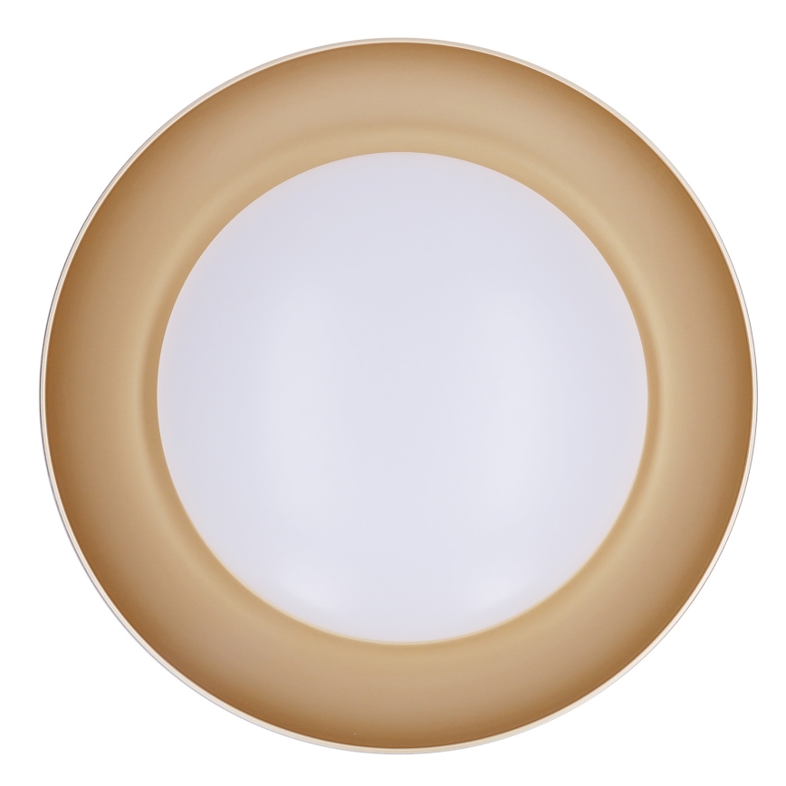 Brilagi - LED-dæmpbar loftlampe ALVA LED/48W/230V 3000-6500K Ø 51 cm sort + fjernbetjening