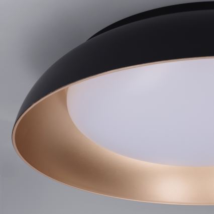 Brilagi - LED-dæmpbar loftlampe ALVA LED/48W/230V 3000-6500K Ø 51 cm sort + fjernbetjening