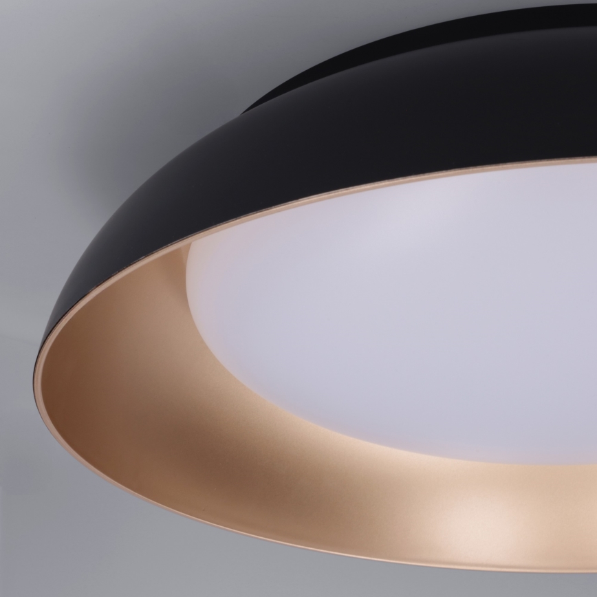 Brilagi - LED-dæmpbar loftlampe ALVA LED/48W/230V 3000-6500K Ø 51 cm sort + fjernbetjening