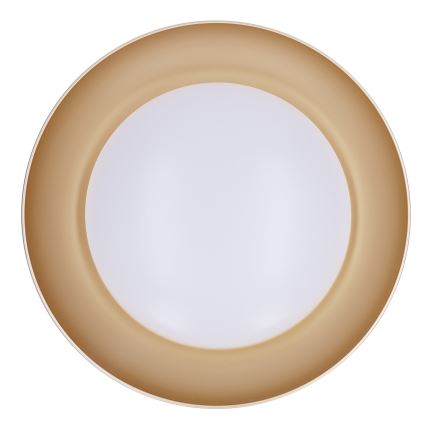 Brilagi - Dæmpbar LED-loftlampe ALVA LED/48W/230V 3000-6500K Ø 51 cm hvid + fjernbetjening